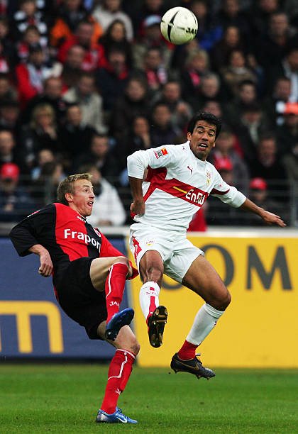 他们之所以 他们之所以